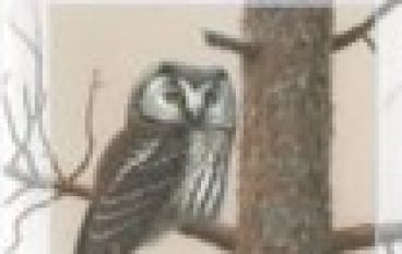 Metody badań i ochrony sów