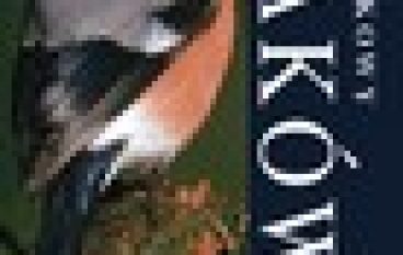 Atlas kieszonkowy ptaków