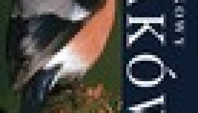 Atlas kieszonkowy ptaków