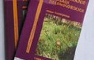 Grzybobranie, Lubuskie i dla wędkarzy