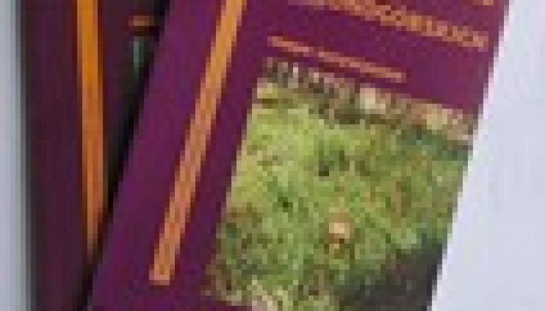 Grzybobranie, Lubuskie i dla wędkarzy