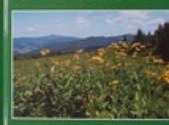 Gorczański Park Narodowy