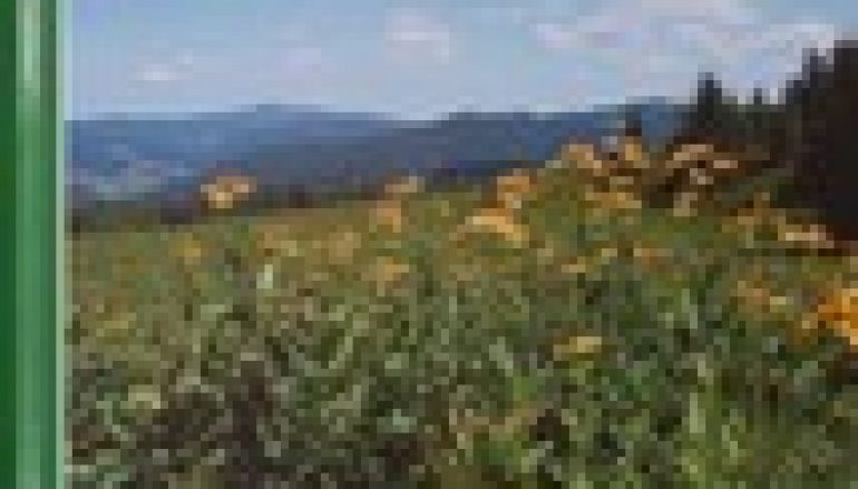 Gorczański Park Narodowy