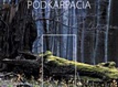 W lasach Podkarpacia