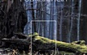 W lasach Podkarpacia