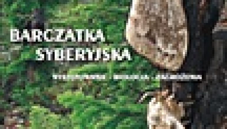 Barczatka syberyjska