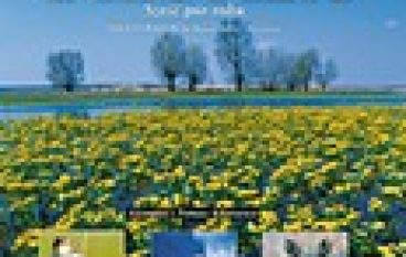 Biebrza, sześć pór roku