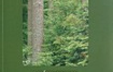 Leśnictwo stymulatorem rozwoju