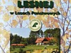 Ośrodki Edukacji Leśnej w Lasach Państowych