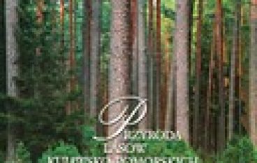 Przyroda Lasów Kujawsko-Pomorskich