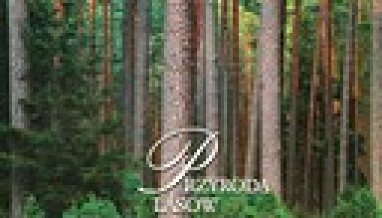 Przyroda Lasów Kujawsko-Pomorskich