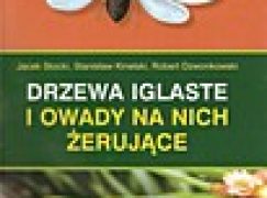 Drzewa iglaste i owady na nich żerujące