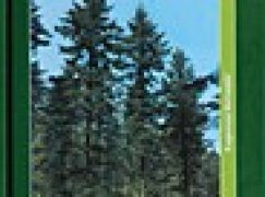 Jodła – Ekologia. Zagrożenia. Hodowla