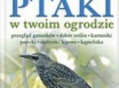 Ptaki w twoim ogrodzie