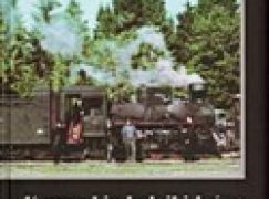 Karpackie kolejki leśne