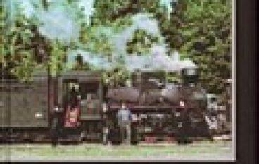 Karpackie kolejki leśne