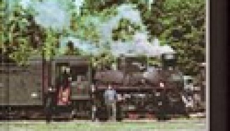 Karpackie kolejki leśne