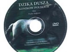Dzika dusza koników polskich (DVD)