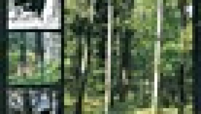 Zwierzyna gruba. Zasady prawidłowego pozyskiwania