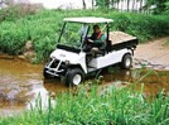 Nie dać się szejkom