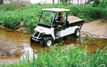 Nie dać się szejkom