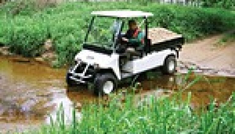 Nie dać się szejkom