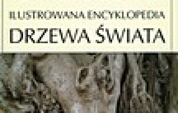 Drzewa świata