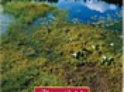 Rośliny wodne i bagienne