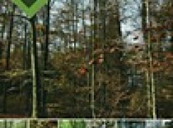 Natura 2000 – Niezbędnik leśnika