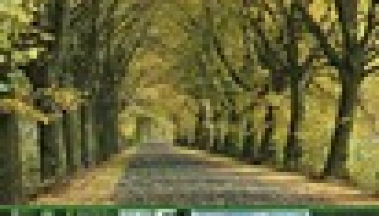 Poradnik lokalnej ochrony przyrody