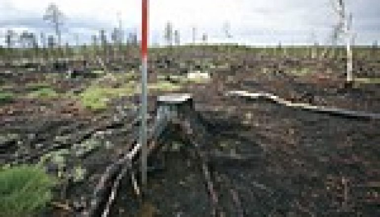 Badania leśne w Szwecji