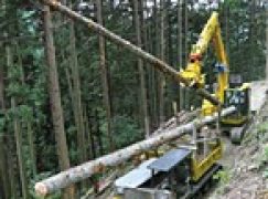 Pozyskanie drewna w Japonii