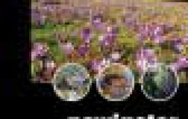 Parki narodowe i krajobrazowe w Polsce