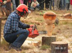 Wielkie rżnięcie w Widzieńsku