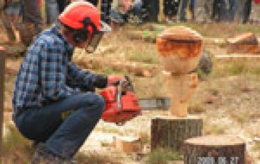 Wielkie rżnięcie w Widzieńsku