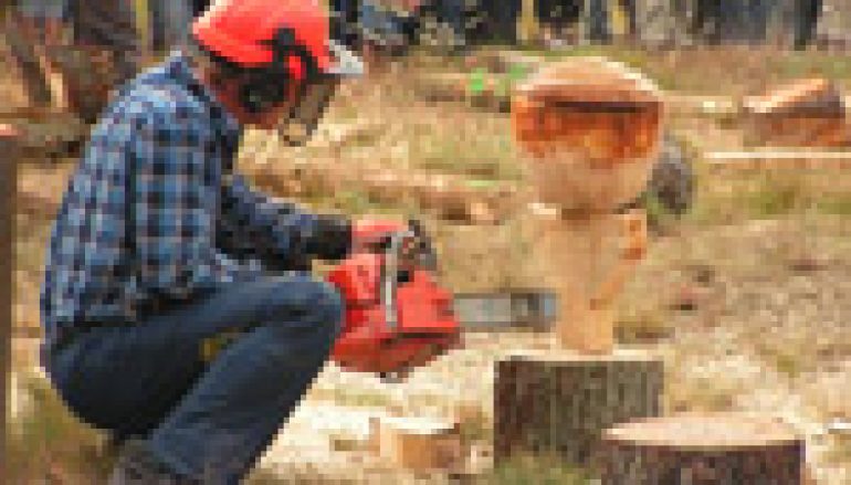 Wielkie rżnięcie w Widzieńsku