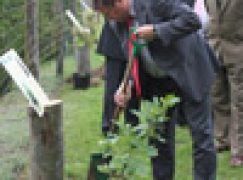 Synowie Napoleona, Chrobrego i Bartka