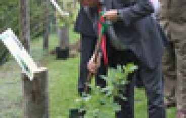 Synowie Napoleona, Chrobrego i Bartka