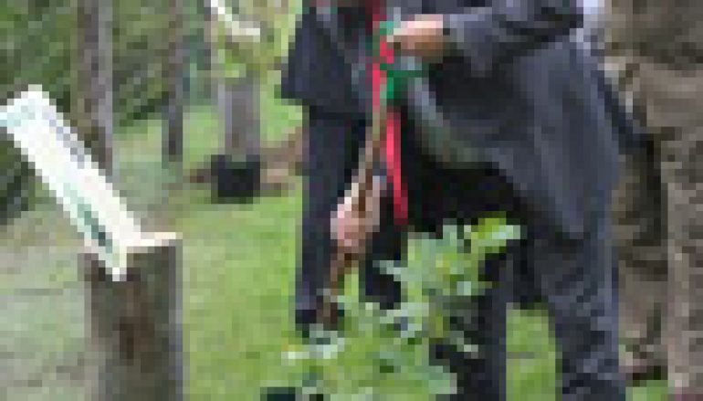 Synowie Napoleona, Chrobrego i Bartka