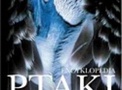 Ptaki. Encyklopedia