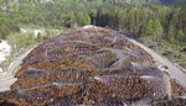 Składnice już puste