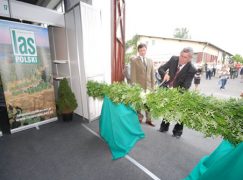 Dekada targów w Rogowie