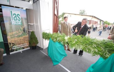 Dekada targów w Rogowie