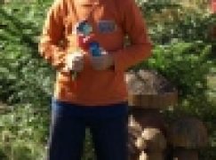 Grzybowanie w Wielbarku