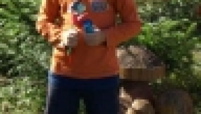 Grzybowanie w Wielbarku