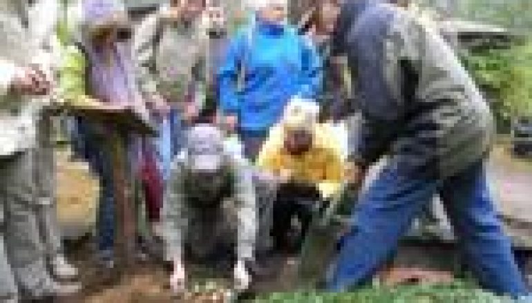 „Święto Drzewa” i „Pola Nadziei” w Kudypach