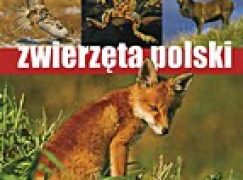 Zwierzęta Polski