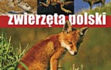 Zwierzęta Polski