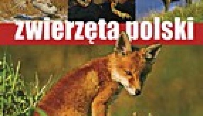 Zwierzęta Polski