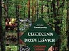 Uszkodzenia drzew leśnych